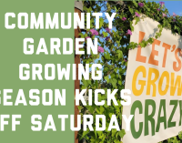 “Crazy” Growers Expanding Community Garden, Second Season Kicks Off Soon