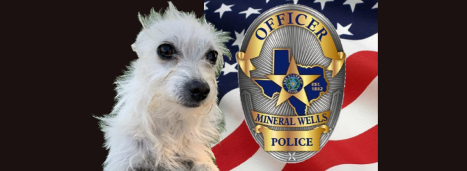 MWPD Releases Statement of Dog Euthanized After Biting Officer