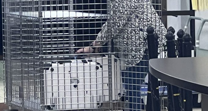 2024 Primary Election Results(Unofficial)