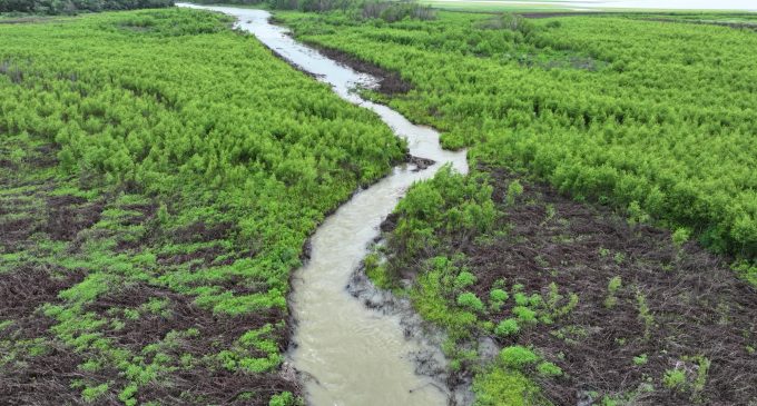 Water Board President Says Palo Pinto Creek is Flowing