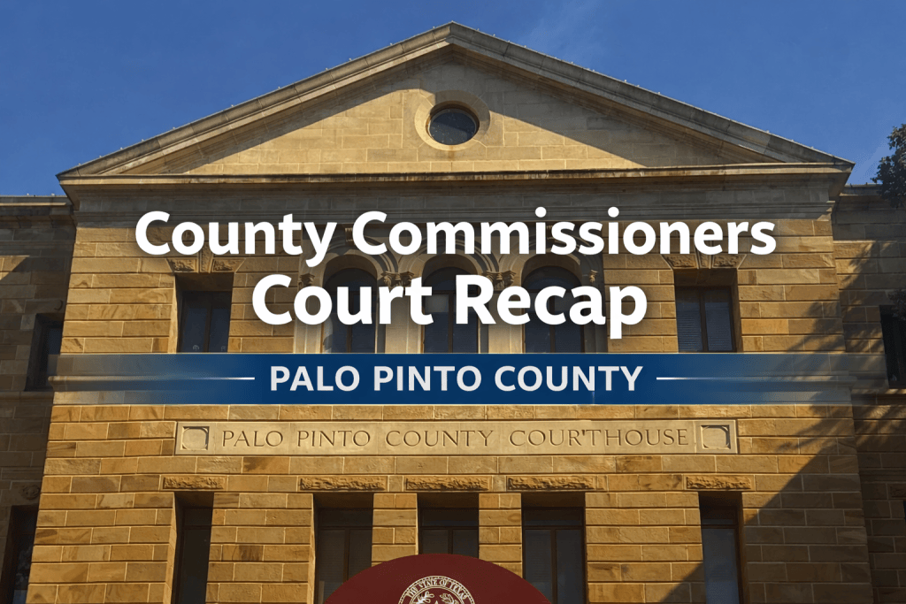 Palo Pinto County Commissioners approve burn ban, move tax foreclosure ...