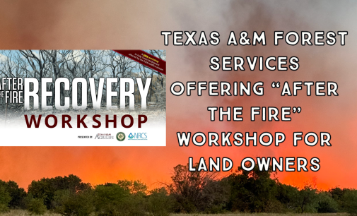 Texas A&M Forest Service to host Ross Fire recovery workshop in Graford
