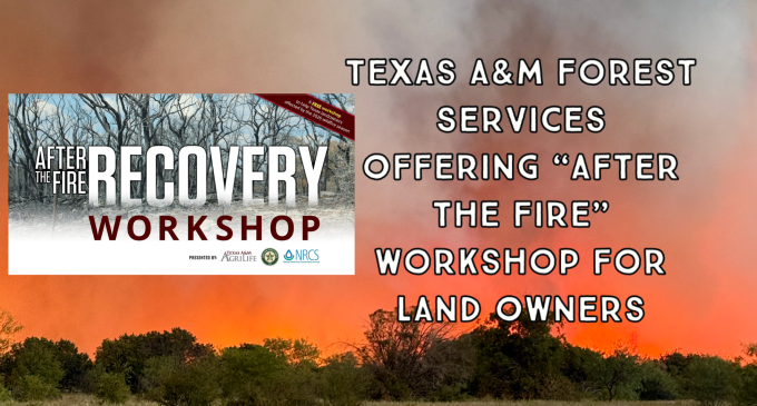 Texas A&M Forest Service to host Ross Fire recovery workshop in Graford